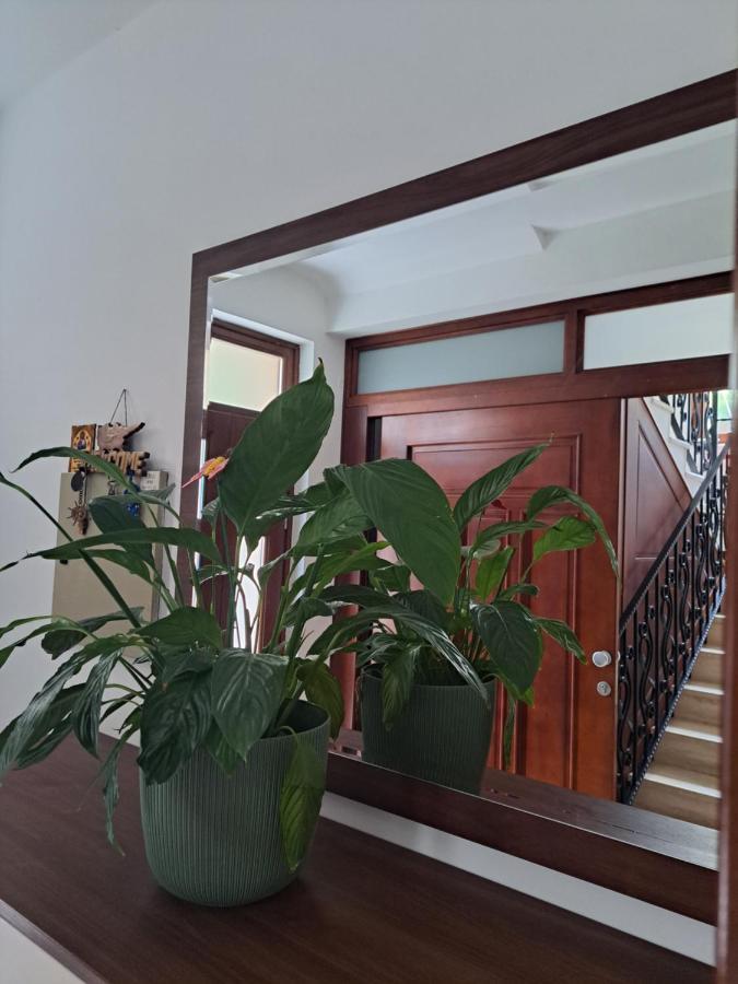 Apartment Benvenuti 코토르 외부 사진