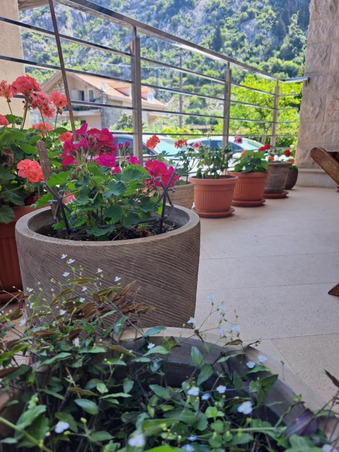 Apartment Benvenuti 코토르 외부 사진